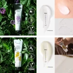 Nature Republic Herbology Cream Trial Set (10*9) - 90ml - Image 3